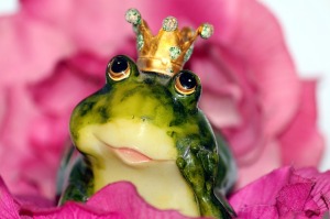 frog-prince